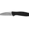 Kershaw Leek Carbon Fiber 1660CF