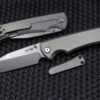 Chaves Knives Ultramar 229 Sangre Wharncliffe M390 & Stonewash Titanium